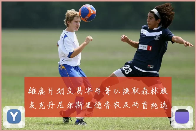雄鹿计划交易字母哥以换取森林狼麦克丹尼尔斯里德香农及两首轮选秀权