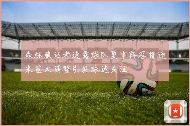 森林狼记者透露球队夏季阵容将迎来重大调整引发球迷关注